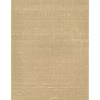 Tapet MEDITATE | COD0456N imagine