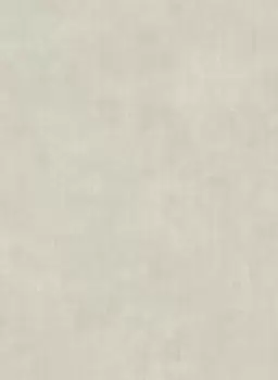 Tapet NOUVEAU FRAME TEXTURE | BR1932 imagine