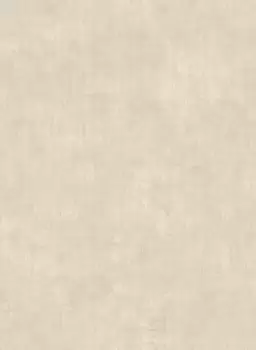 Tapet NOUVEAU FRAME TEXTURE | RE9119 imagine