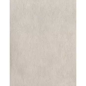 Tapet OASIS | LS6108 imagine