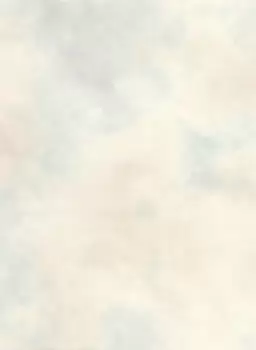 Tapet PAINTERLY TEXTURE | BR2002 imagine