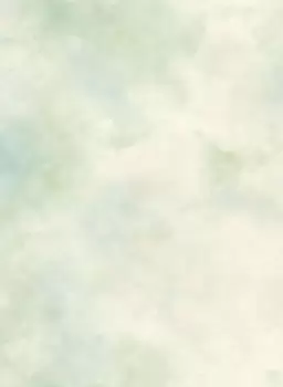 Tapet PAINTERLY TEXTURE | BR2003 imagine