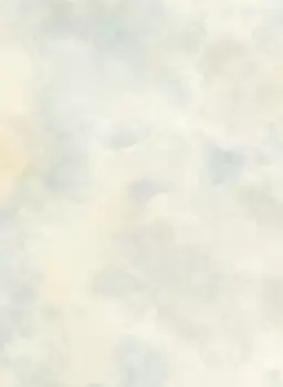 Tapet PAINTERLY TEXTURE | BR2004 imagine