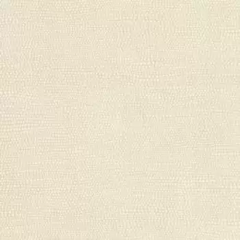 Tapet RAISED DOTS | TN0041 imagine