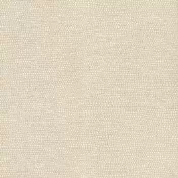 Tapet RAISED DOTS | TN0042 imagine