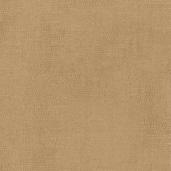 Tapet RAISED DOTS | TN0045 imagine