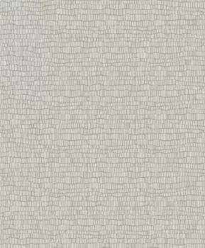 Tapet SKIN | Y6230401 imagine