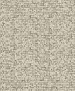 Tapet SKIN | Y6230402 imagine