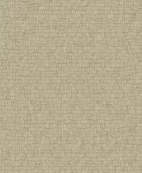 Tapet SKIN | Y6230403 imagine