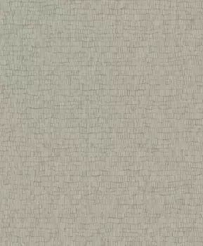 Tapet SKIN | Y6230404 imagine