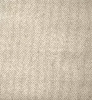 Tapet STRETCHED HEXAGONS | Y6231102 imagine