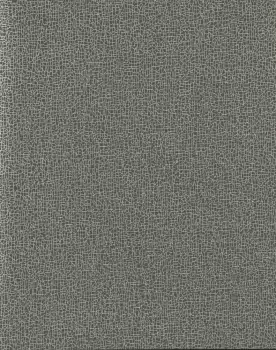 Tapet SWEET BIRCH | COD0532N imagine