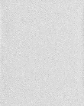 Tapet TATTING | COD0557N imagine