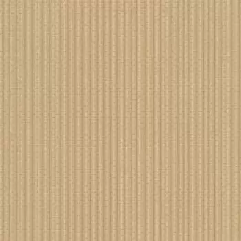 Tapet TICKING STRIPE | TN0047 imagine