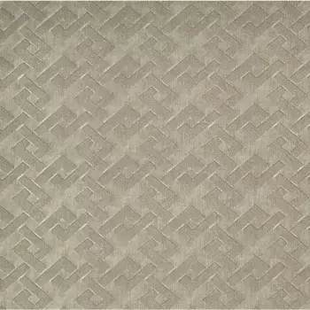 Tapet TRELLIS A-GO-GO | Y6220501 imagine