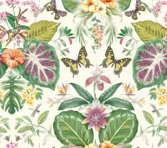 Tapet TROPICAL BUTTERFLIES | ON1600 imagine