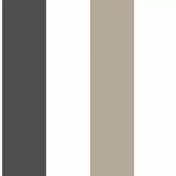 Tapet TWO COLOR WIDE STRIPE | TR4234 imagine