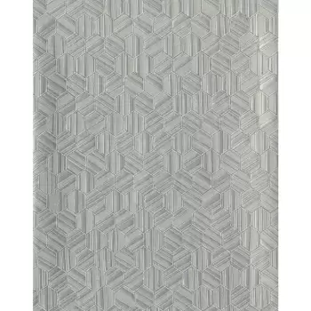 Tapet VANGUARD | COD0425N imagine