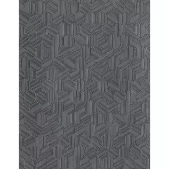 Tapet VANGUARD | COD0451N imagine