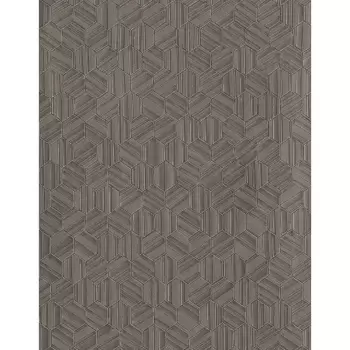 Tapet VANGUARD | COD0453N imagine