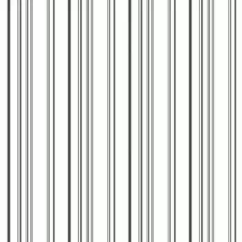 Tapet WIDE MULTI STRIPE | DY0326 imagine