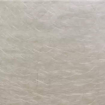 Tapet WINDSWEPT | FL6630 imagine