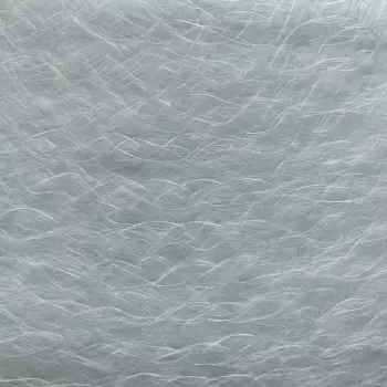 Tapet WINDSWEPT | FL6631 imagine