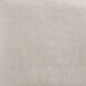 Tapet WINDSWEPT | FL6632 imagine