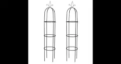 Ornamente gradina imagine