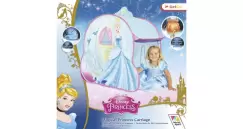 Cort cenusereasa imagine