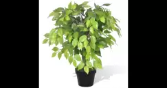 Ficus pitic artificial cu aspect natural si ghiveci, 60 cm imagine