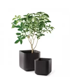 Ghiveci Cube Planter M Antracit imagine