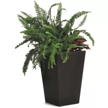 Ghiveci imitatie rattan Keter Rattan M 55.4 L, grafit imagine
