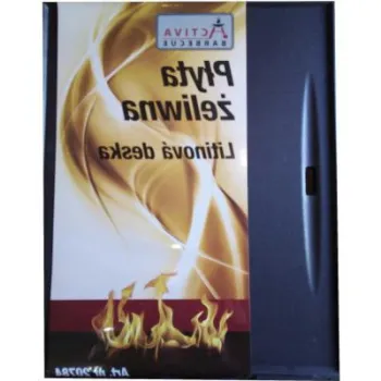 Plita din fonta 40 x 32 cm pentru gratarele Dakota Activa 20784 imagine