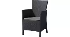 Scaun de gradina Iowa Grafit/Gri-rece imagine