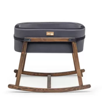 Balansoar bebelusi, Hudson, Hier, Nuc negru imagine