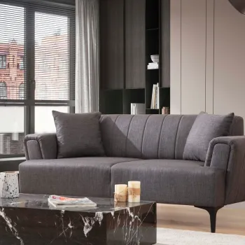 Canapea 2 locuri, Atelier del Sofa, 560ARE2238, Gri inchis imagine