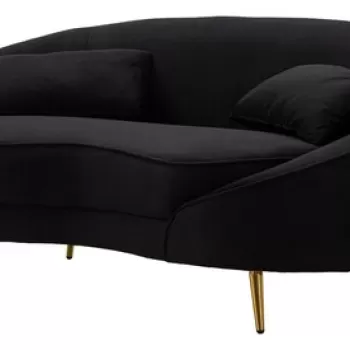 Canapea cu 2 locuri, Oslo, Mauro Ferretti, 148 x 84 x 68 cm, lemn de eucalipt/poliester/metal, negru/auriu imagine