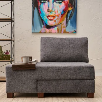 Canapea extensibila cu 1 loc, Balcab Home, 825BLC4707, Lemn, Gri imagine