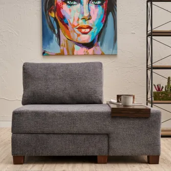 Canapea extensibila cu 1 loc, Balcab Home, 825BLC4708, Lemn, Gri imagine