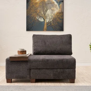 Canapea extensibila cu 1 loc, Balcab Home, 825BLC4709, Lemn, Antracit imagine