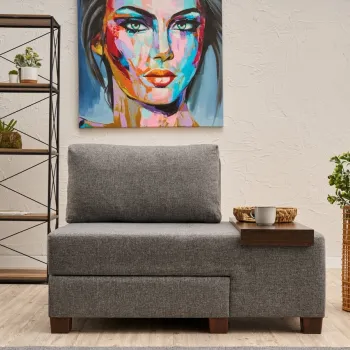 Canapea extensibila cu 1 loc, Balcab Home, 825BLC4714, Lemn, Gri imagine