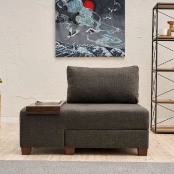 Canapea extensibila cu 1 loc, Balcab Home, 825BLC4715, Lemn, Antracit imagine