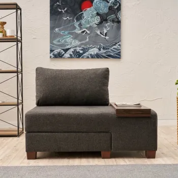 Canapea extensibila cu 1 loc, Balcab Home, 825BLC4716, Lemn, Antracit imagine