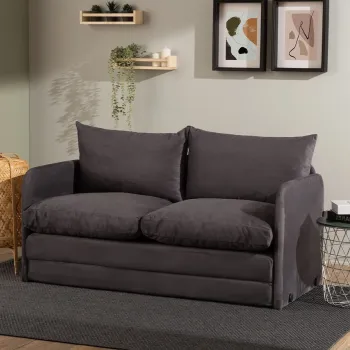 Canapea extensibila cu 2 locuri, Futon, 859FTN2887, Metal , Gri imagine