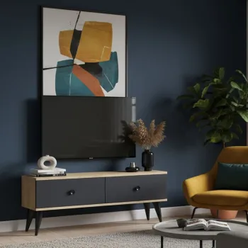 Comoda TV, Hanah Home, Mona 120, 120x40.5x32 cm, PAL , Stejar safir / Antracit imagine