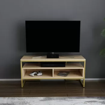 Comoda TV, Retricy, Merrion, 110x35x49.9 cm, PAL, Aur / Stejar imagine