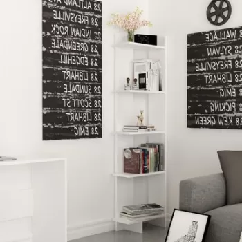 Corp biblioteca, Zena Home, Als, PAL, Alb imagine