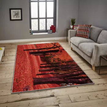 Covor, ASR CRPT-15 , 100x140 cm, Poliester, Multicolor imagine