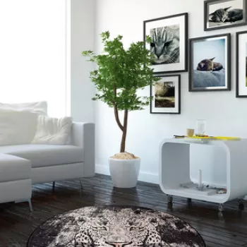 Covor, Tiger , Catifea, Multicolor imagine